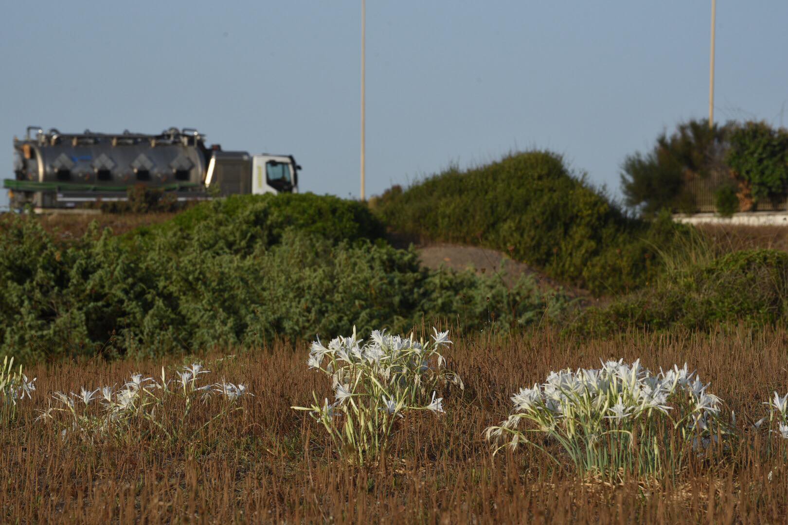 Che cosa chiamiamo davvero natura?